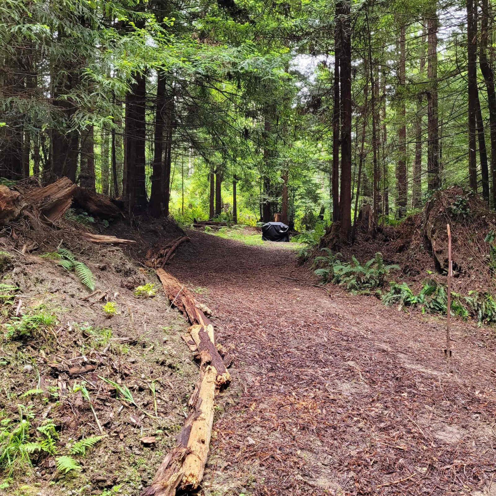 Forest Farm Conservancy - Fortuna, California - glamping.directory