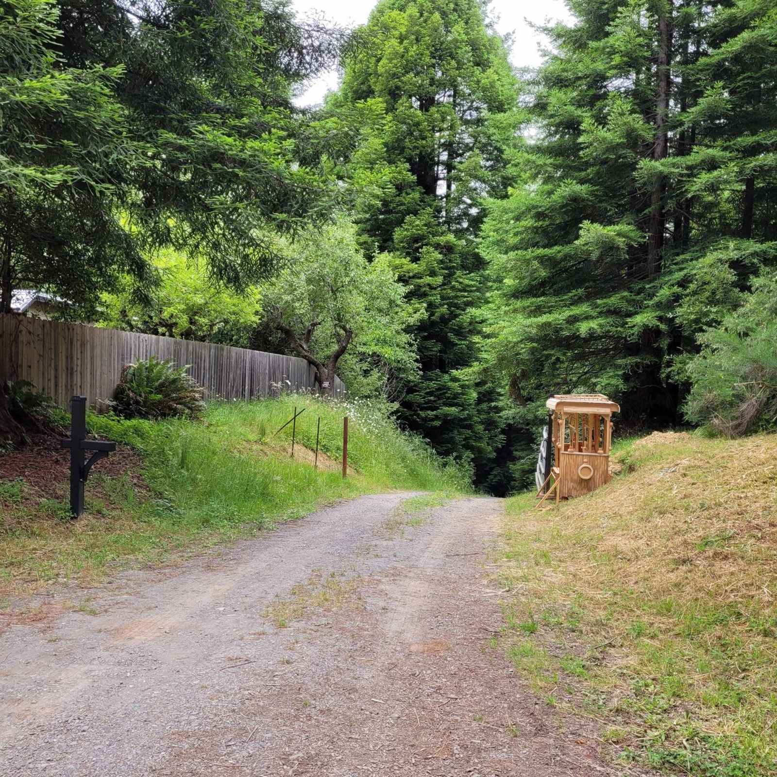 Forest Farm Conservancy - Fortuna, California - glamping.directory