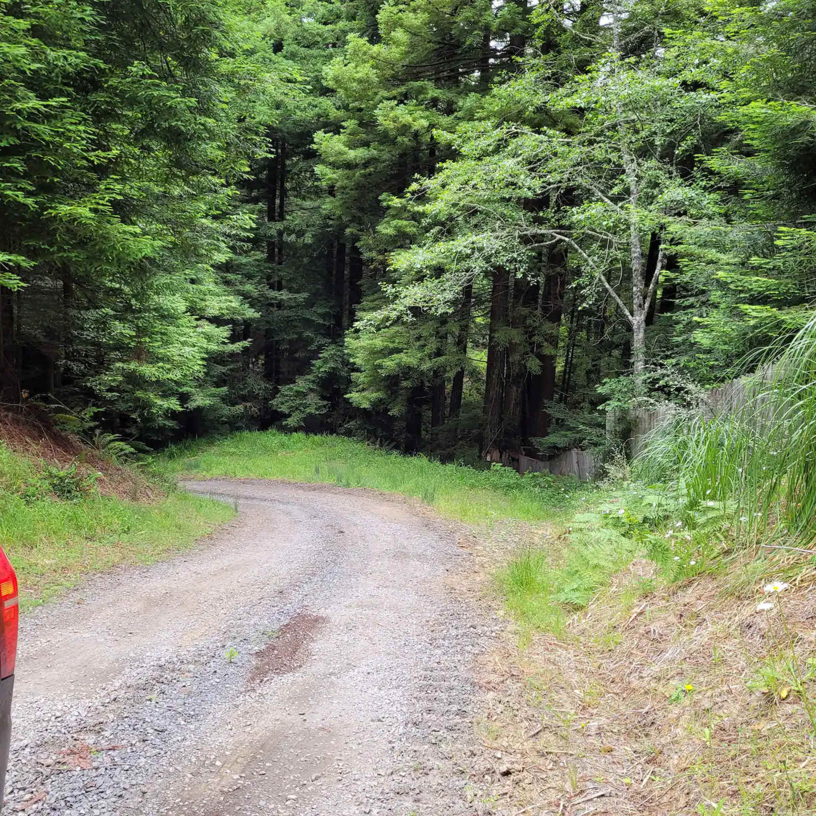 Forest Farm Conservancy - Fortuna, California - glamping.directory