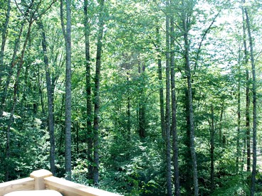 Luxury Log Cabin Rental with Forest Views near Asheville, North Carolina - Hendersonville, North Carolina - glamping.directory