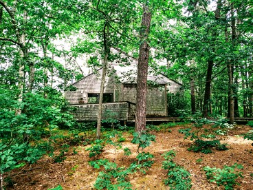 Charming Cottage Retreat with a Wood-Burning Fireplace in Wellfleet, Massachusetts - Wellfleet, Massachusetts - glamping.directory