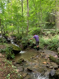 Off Grid Tiny Cabin Ideal for Couples in Burnsville, North Carolina - Burnsville, North Carolina - glamping.directory