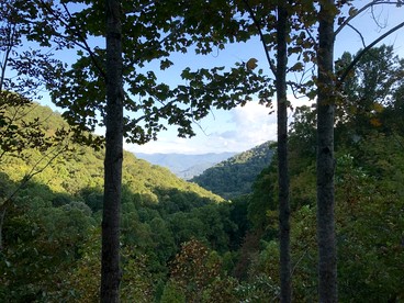 Off Grid Tiny Cabin Ideal for Couples in Burnsville, North Carolina - Burnsville, North Carolina - glamping.directory