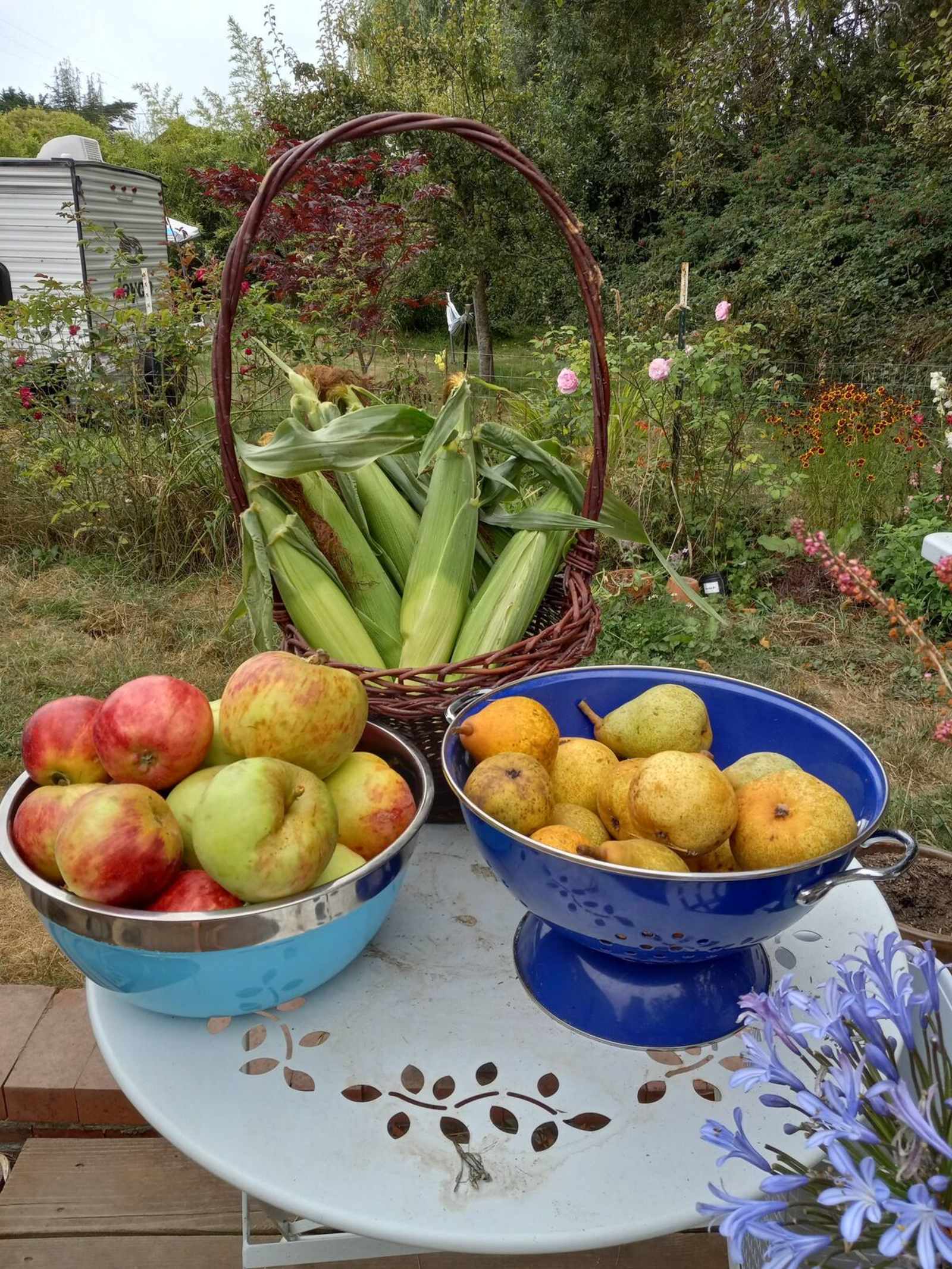 Little Haven Gardens - Bayside, California - glamping.directory