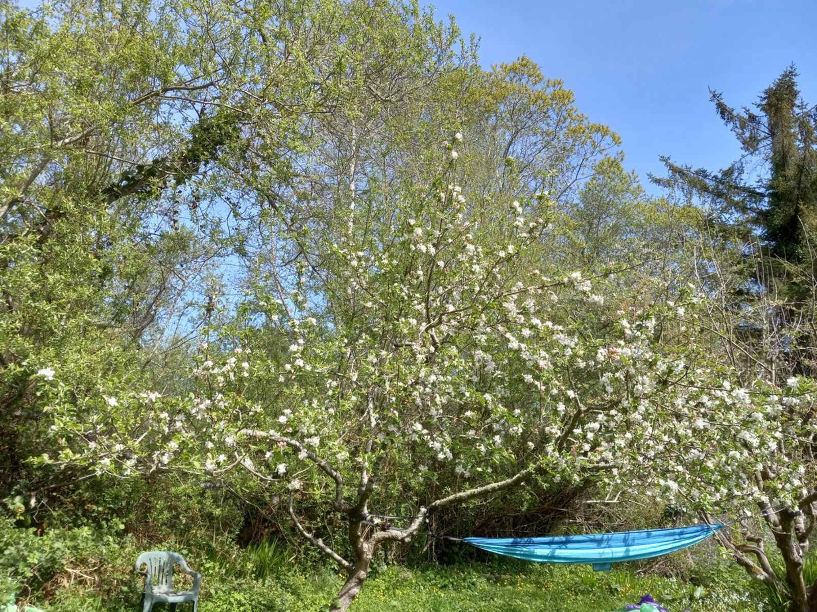 Little Haven Gardens - Bayside, California - glamping.directory