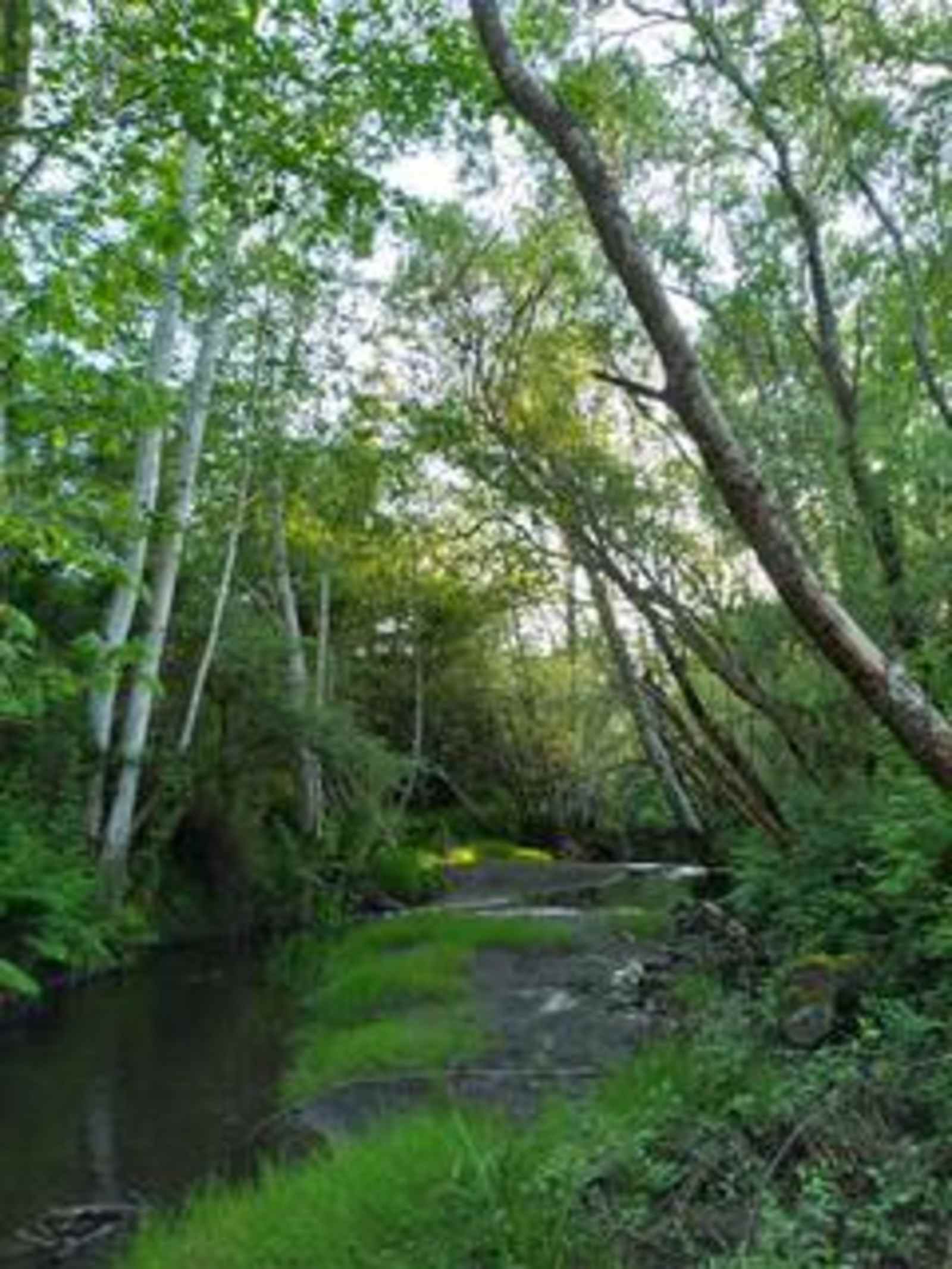 Little Haven Gardens - glamping.directory