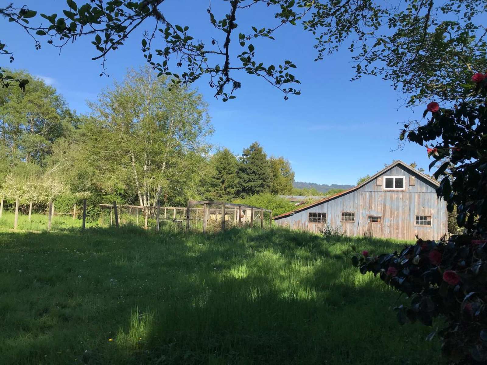 Little Haven Gardens - Bayside, California - glamping.directory