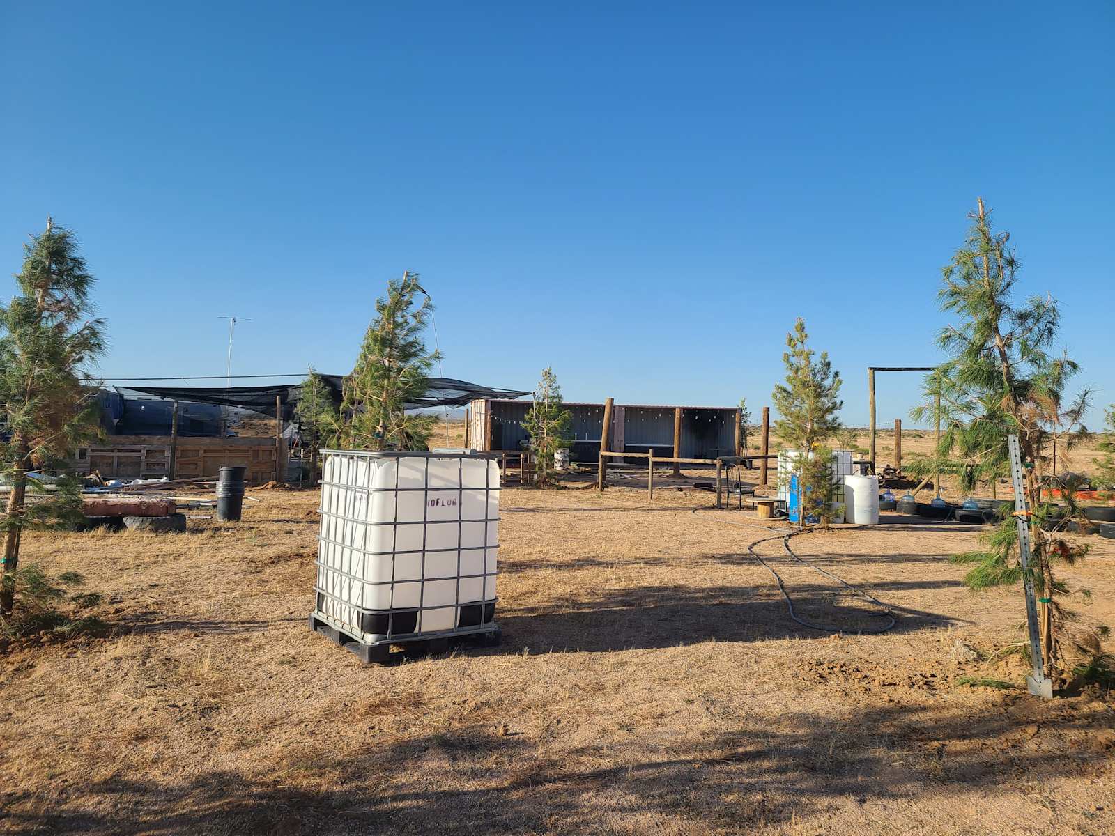 Fluffys Ranch - North Edwards, California - glamping.directory