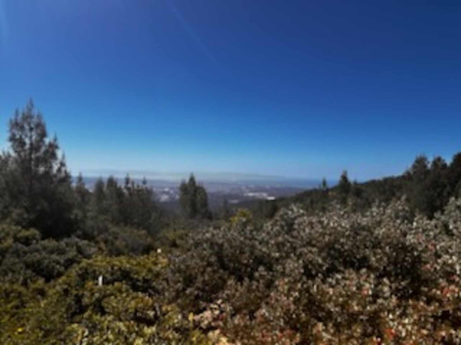 Santa Cruz Mountains with ocean 👁 - Los Gatos, California - glamping.directory