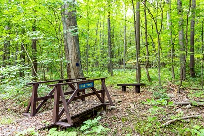 Spacious Cabin Retreat with Hot Tub, Fire Pit, Large Deck and Access to Community Pool and Other Amenities at this Berekely Springs, WV Getaway - Berkeley Springs , West Virginia - glamping.directory
