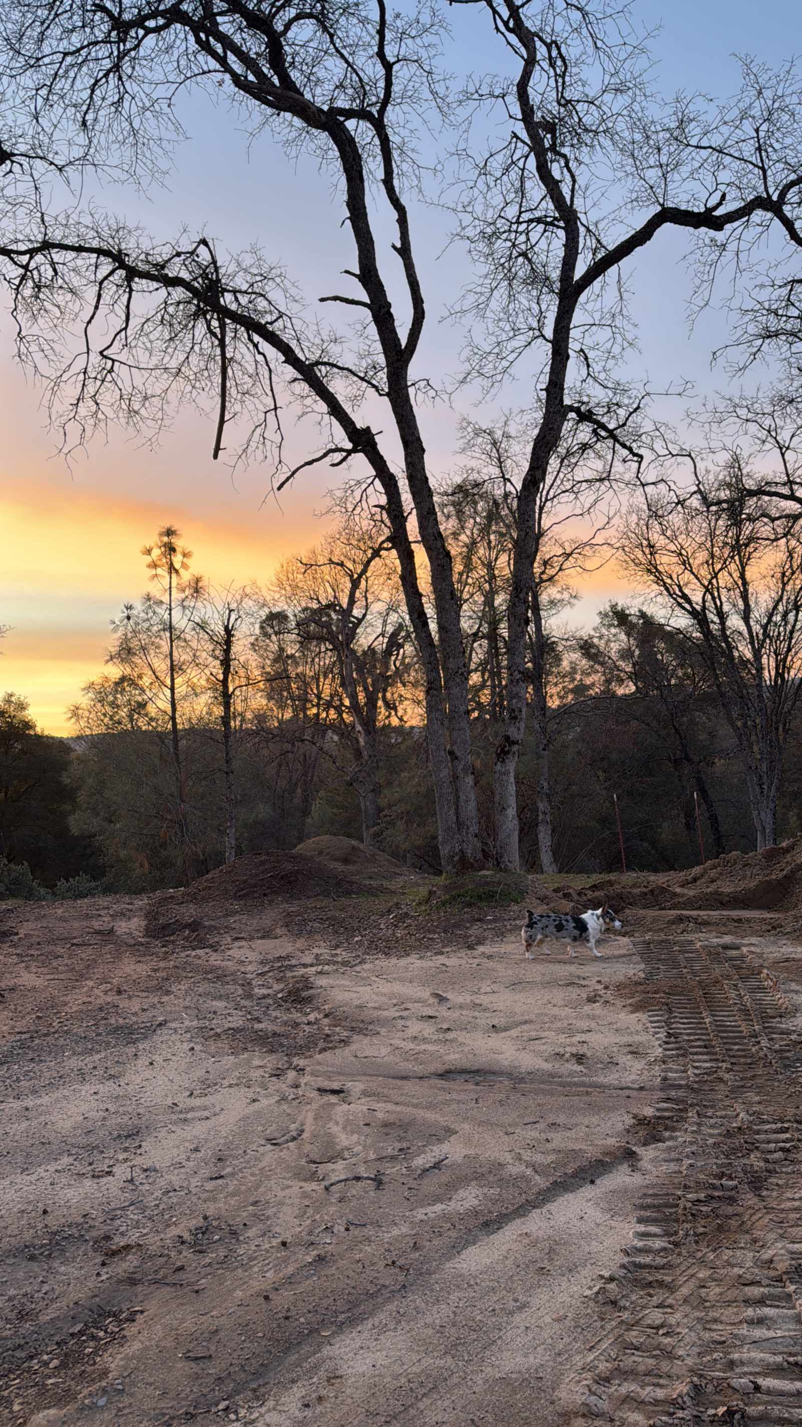 Meadow View Haven - Mariposa, California - glamping.directory