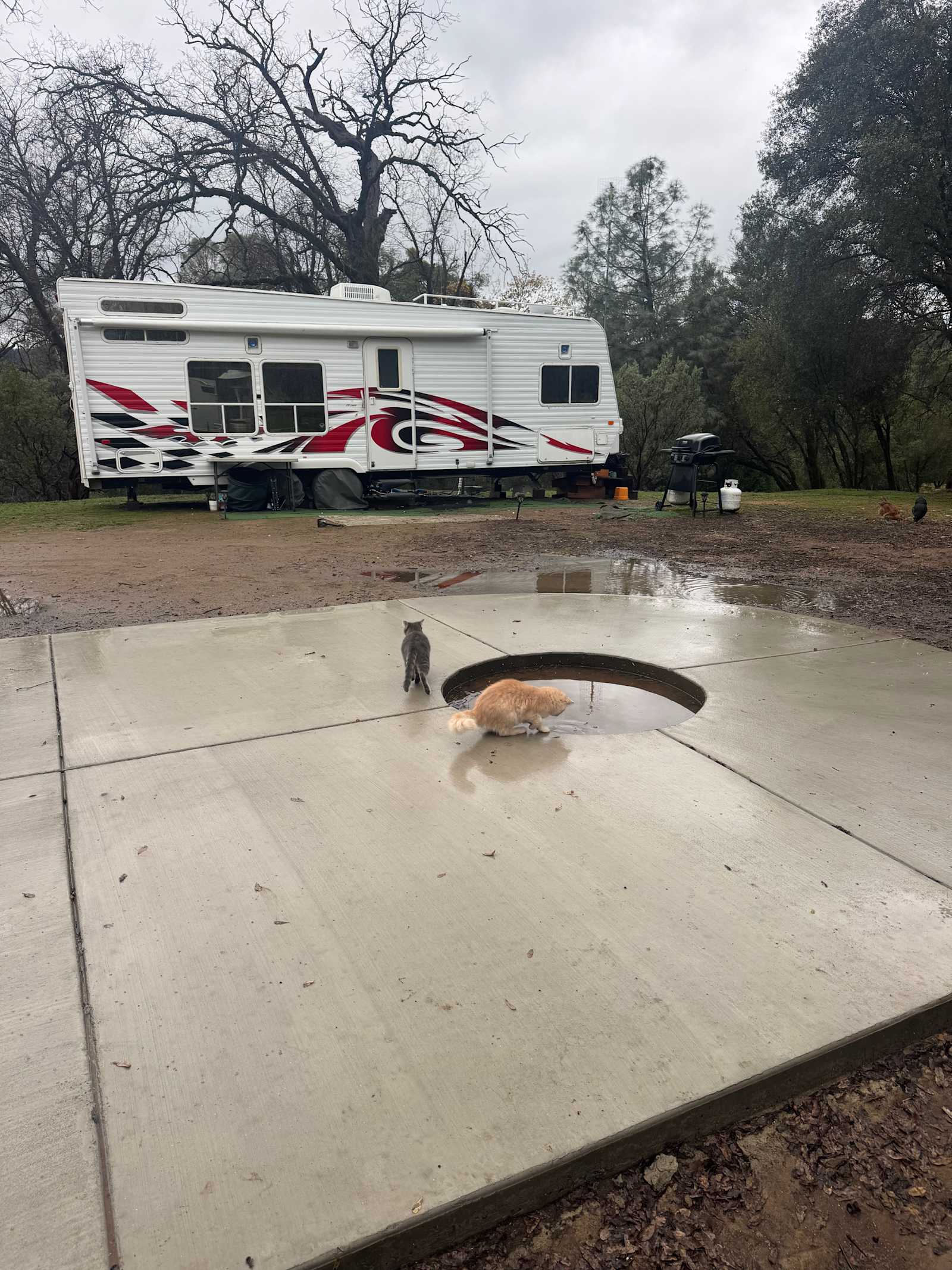 Meadow View Haven - Mariposa, California - glamping.directory