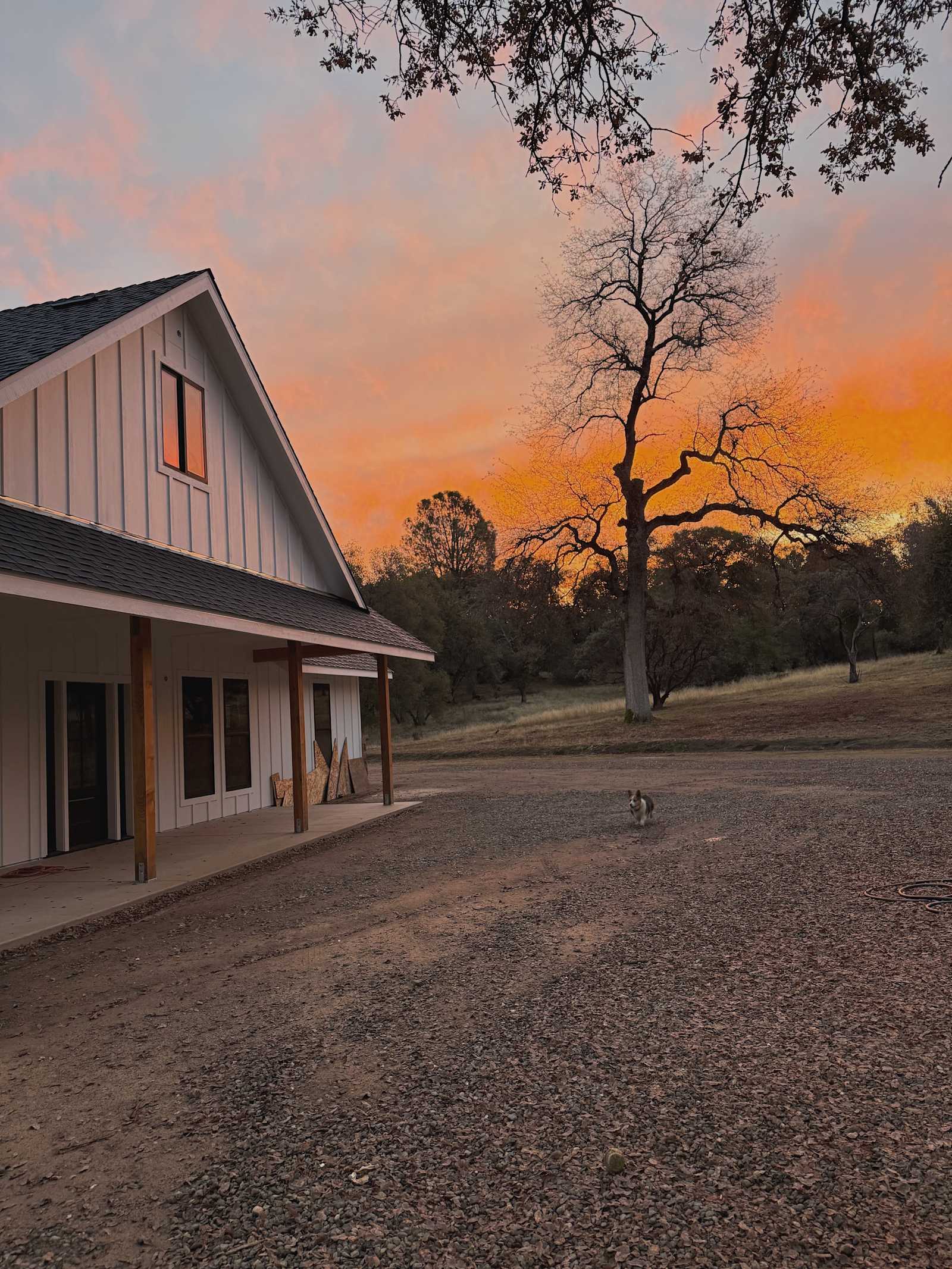 Meadow View Haven - glamping.directory