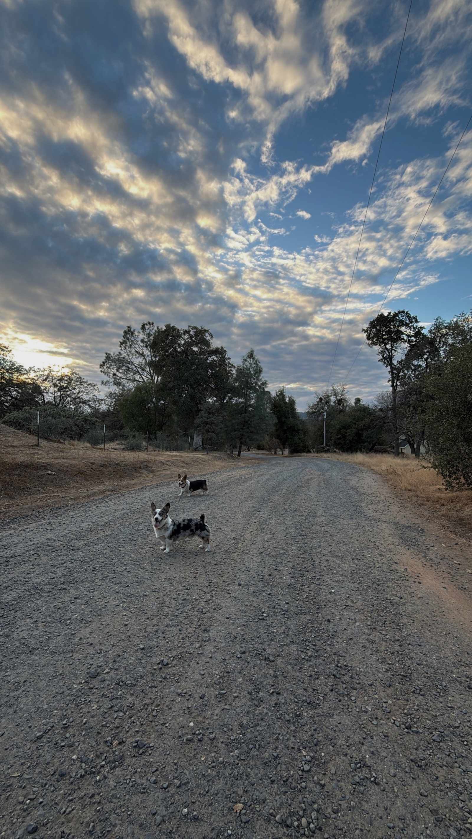 Meadow View Haven - Mariposa, California - glamping.directory