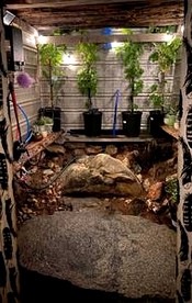 Off-Grid Birdhouse - Tiny Cabin partially finished - Fresno, California - glamping.directory
