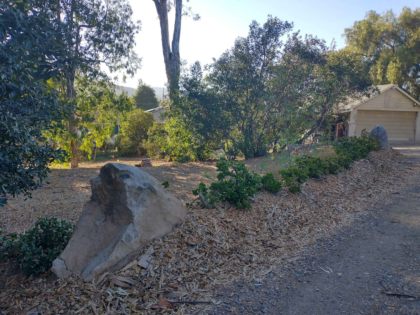 Ranch Blooms - Santee, California - glamping.directory