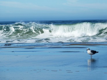 Charming Vacation Rental in Dillon Beach for California Getaways - Dillon Beach, California - glamping.directory