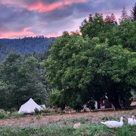 Cozy Off-Grid Bell Tent Glamping Retreat on a Regenerative Farm in Willow Creek, California - Willow Creek, California - glamping.directory