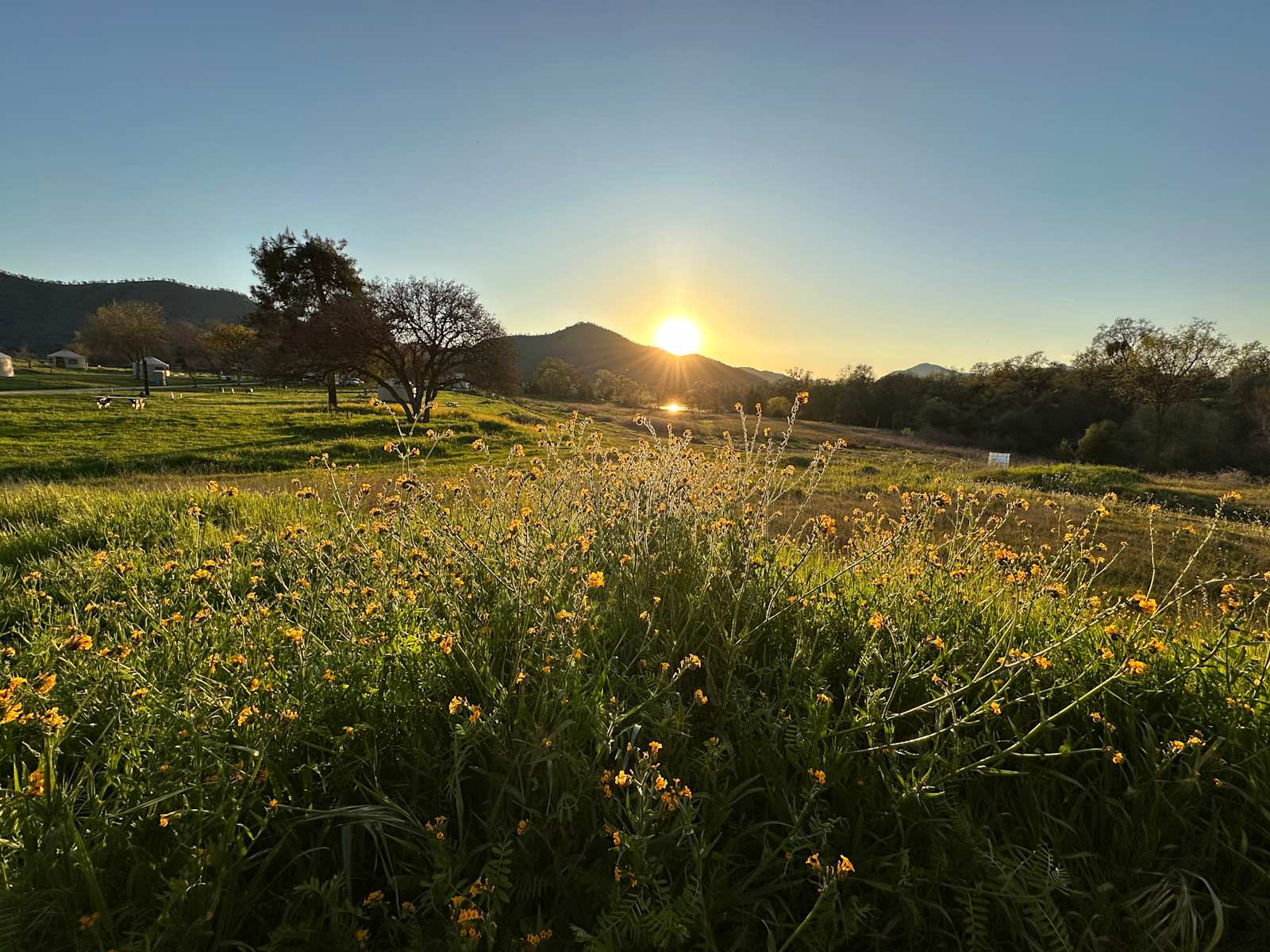 Dunlap canyon retreat - Dunlap, California - glamping.directory