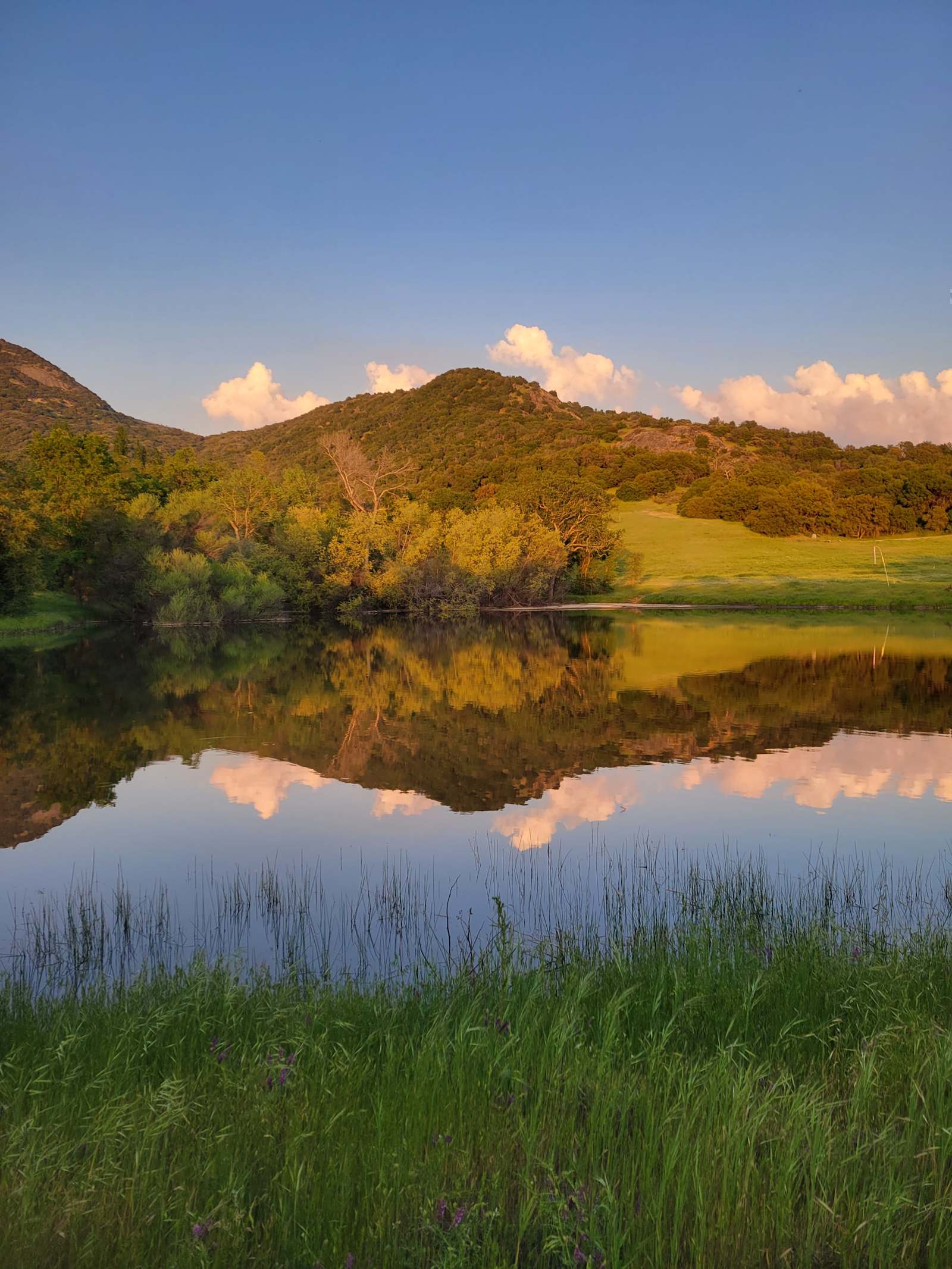 Dunlap canyon retreat - Dunlap, California - glamping.directory