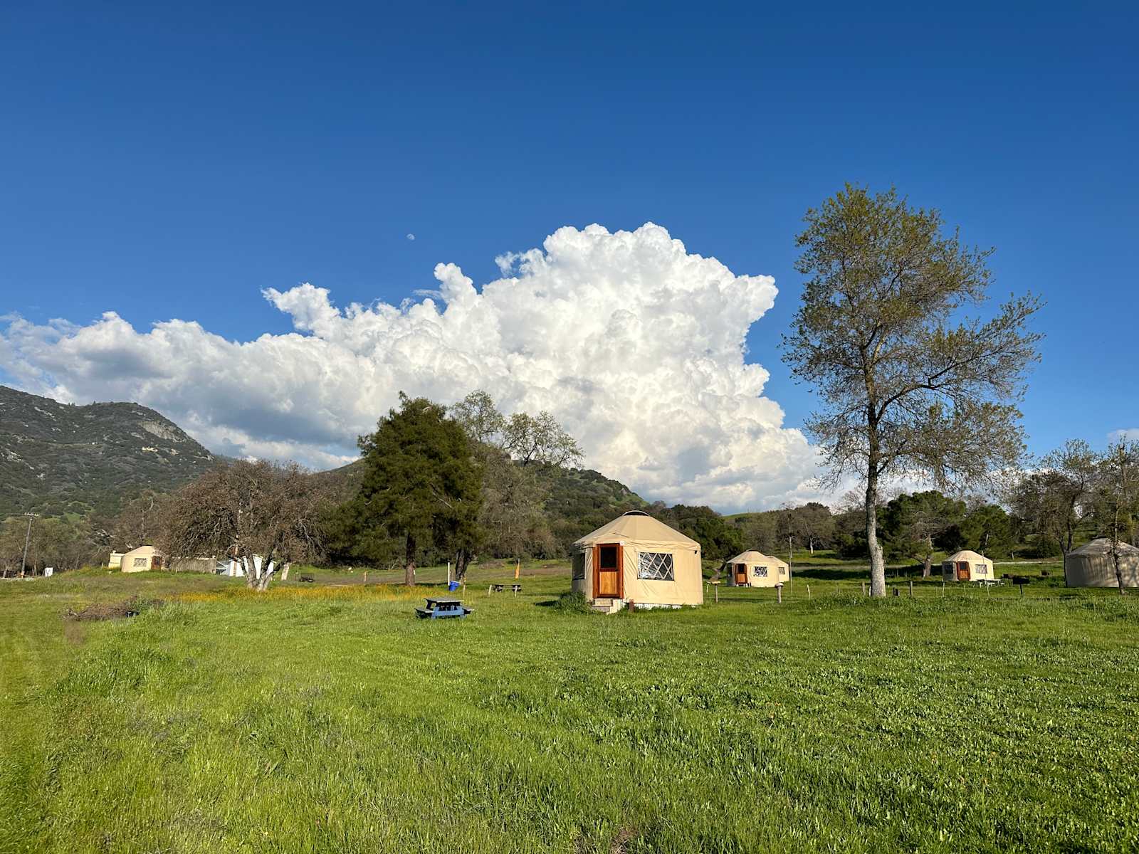 Dunlap Canyon Retreat - glamping.directory