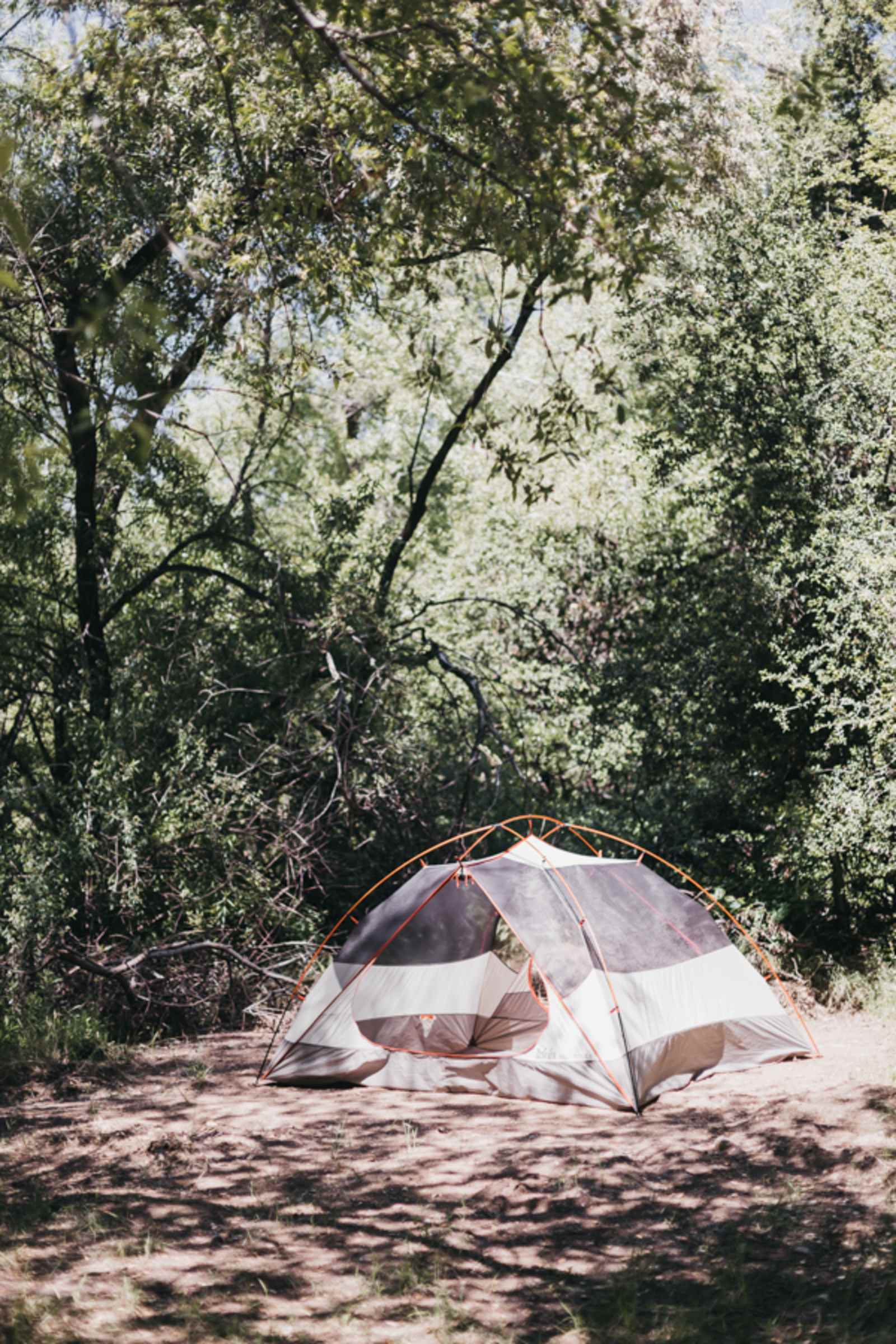King Creek Campground - Descanso, California - glamping.directory