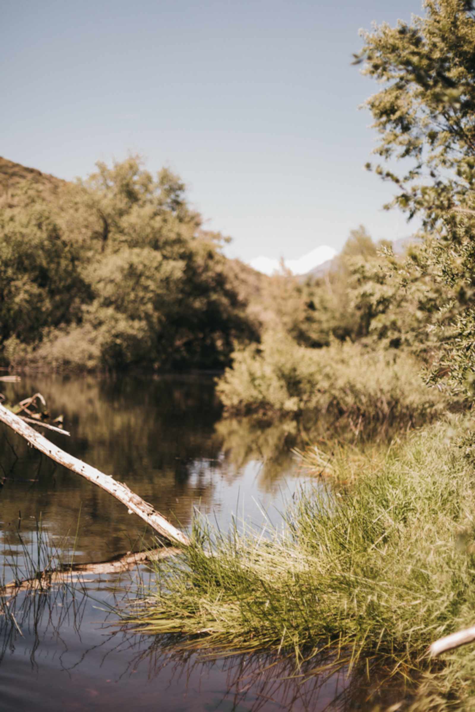King Creek Campground - glamping.directory
