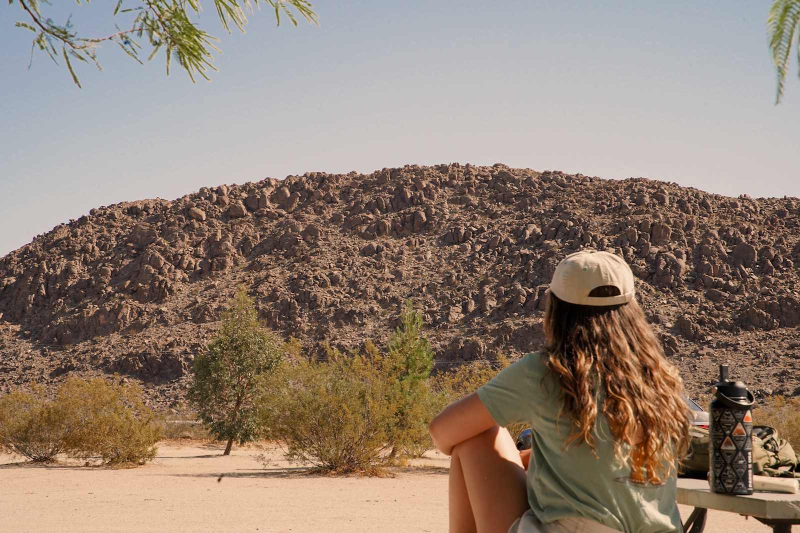 Joshua Tree Lake RV & Campground - Joshua Tree, California - glamping.directory
