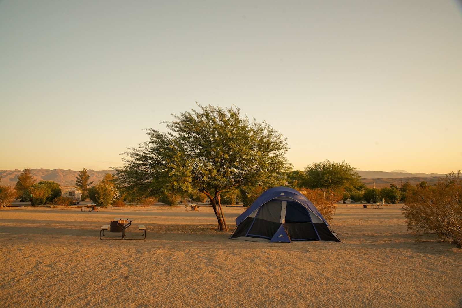 Joshua Tree Lake RV & Campground - glamping.directory