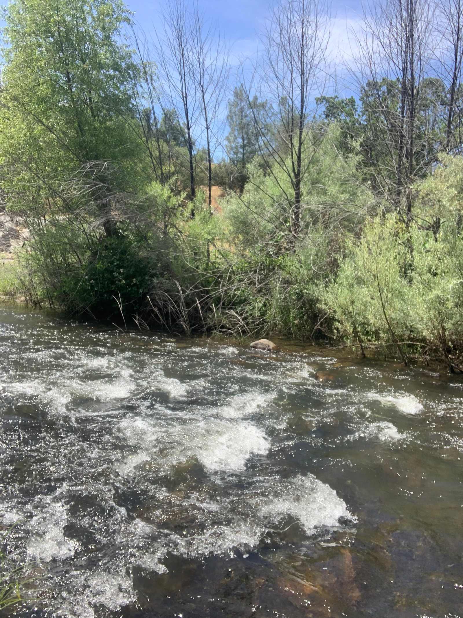 River Bluff Retreat - Coarsegold, California - glamping.directory