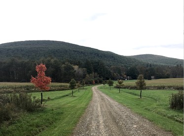 Upscale Rustic Cabin Surrounded by Spacious Pennsylvania Countryside near Pine Creek Gorge - Gaines, Pennsylvania - glamping.directory