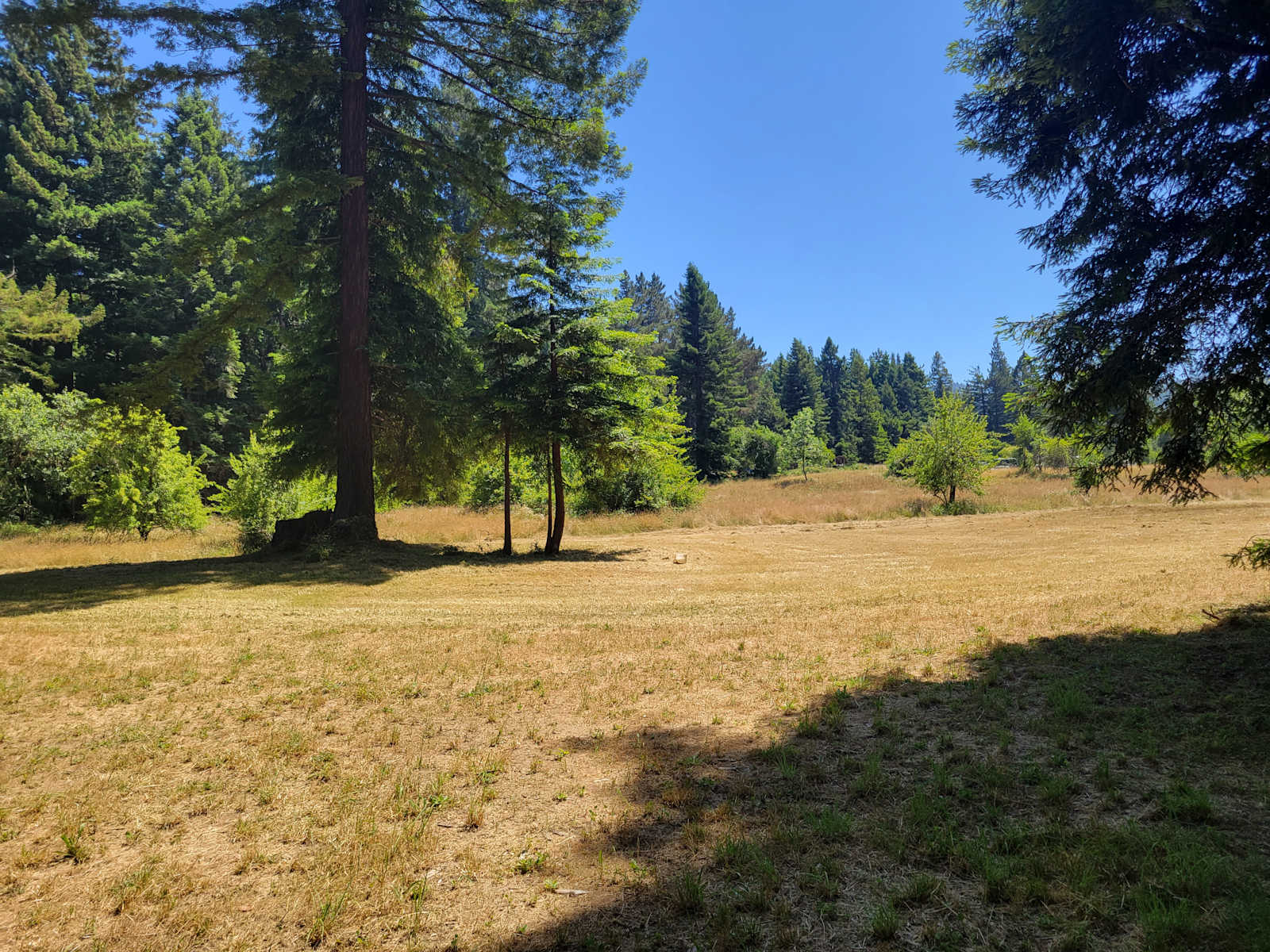 Camp Larabee - Secluded Redwoods - Redcrest, California - glamping.directory