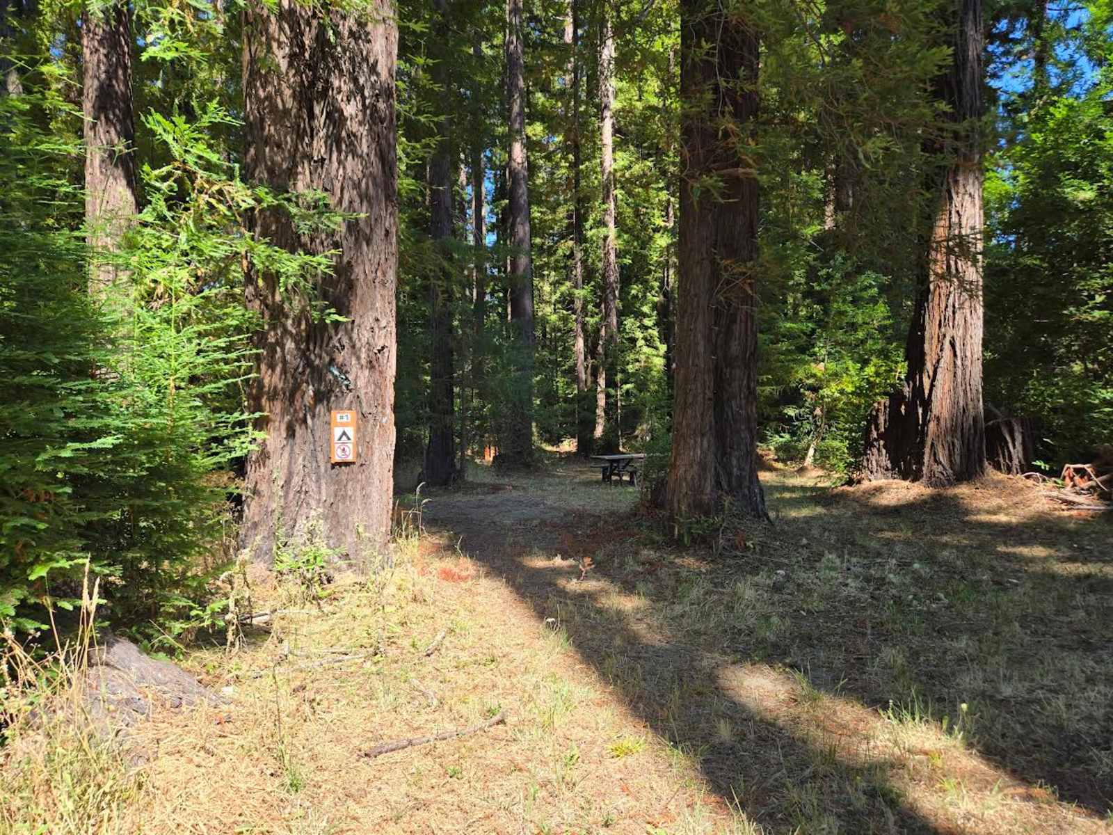 Camp Larabee - Secluded Redwoods - Redcrest, California - glamping.directory