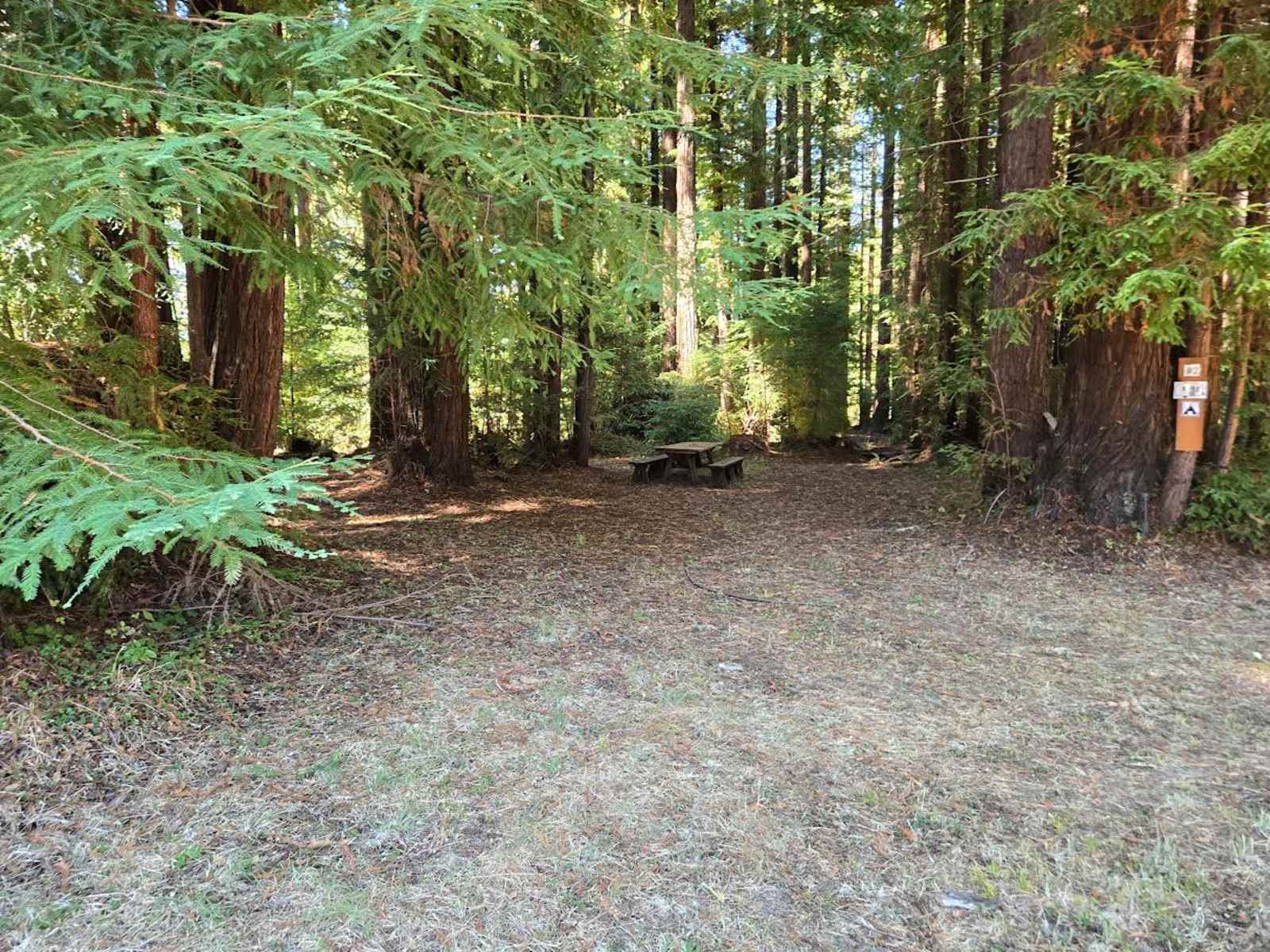 Camp Larabee - Secluded Redwoods - Redcrest, California - glamping.directory