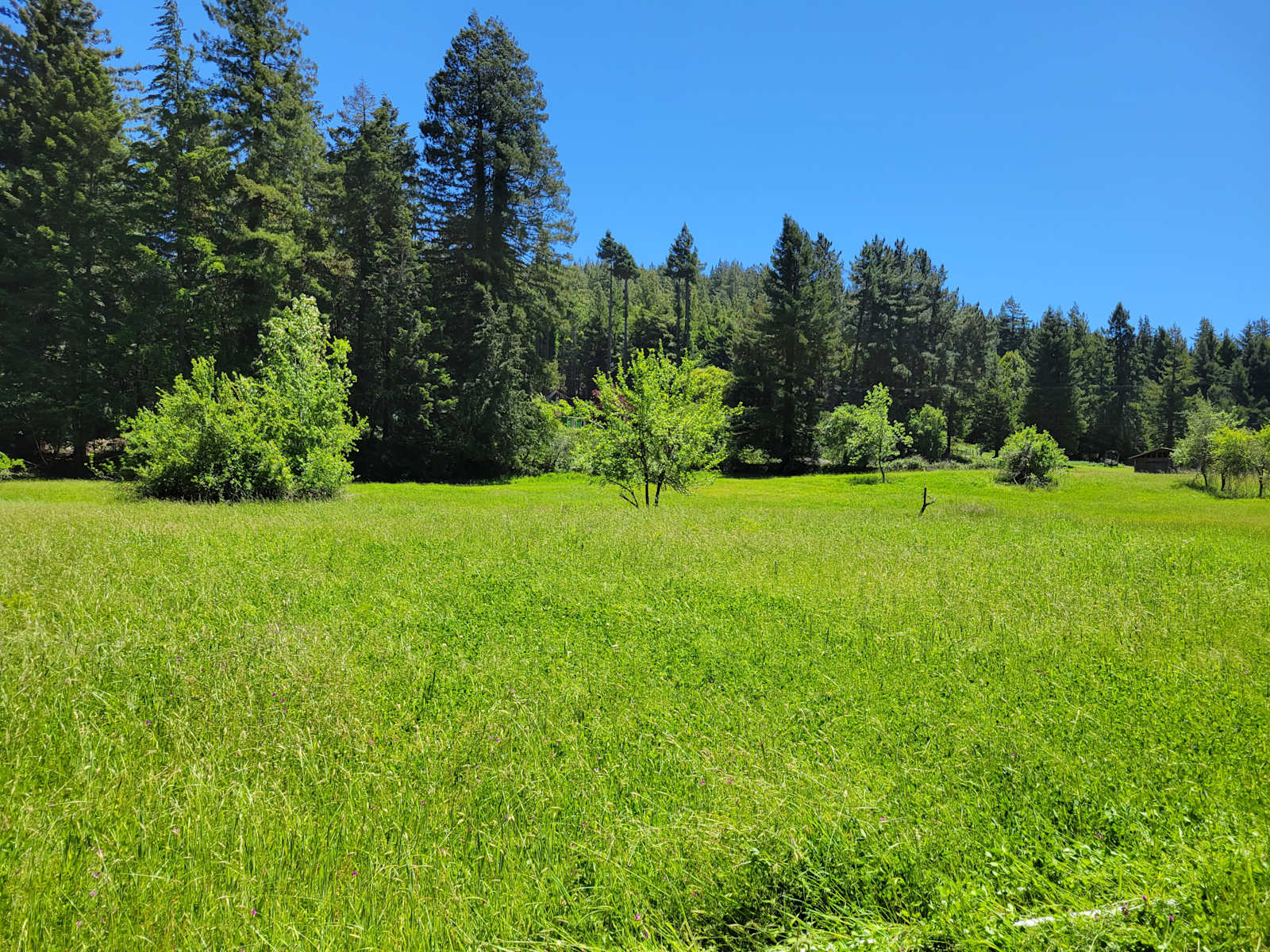 Camp Larabee - Secluded Redwoods - glamping.directory