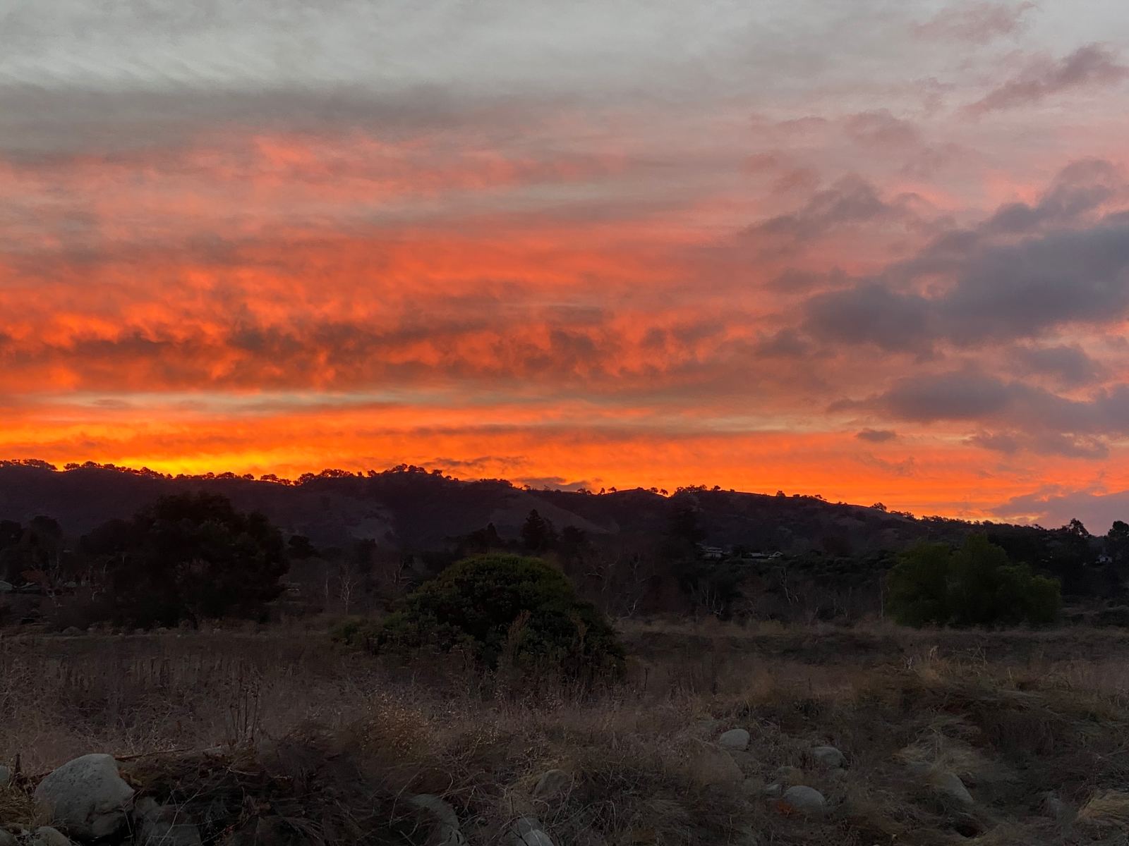 Arber-Moore's Ranch - Oak View, California - glamping.directory
