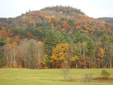 Unique Vacation Rental in an Old Farmhouse in Windsor County, Vermont - South Royalton, Vermont - glamping.directory