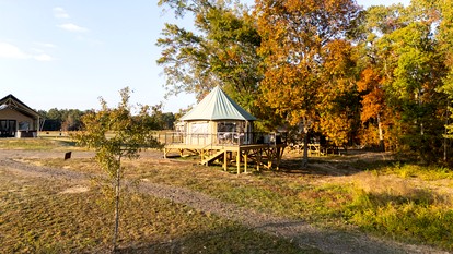Luxurious Safari Tent for a Romantic Getaway in Cedar Bluff, Alabama - glamping.directory