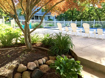 Lovely Cottage Rental with a Pool and Stunning Garden near Grand Rapids in Michigan - glamping.directory