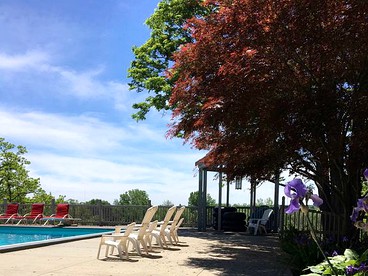Lovely Cottage Rental with a Pool and Stunning Garden near Grand Rapids in Michigan - Grand Rapids, Michigan - glamping.directory
