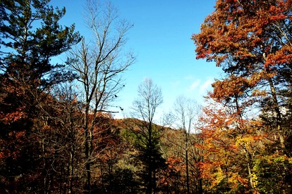 Tiny Luxury Getaway: Cabin in Todd, North Carolina with Hot Tub, Scenic Views, and Lounge Perfection - Todd, North Carolina - glamping.directory