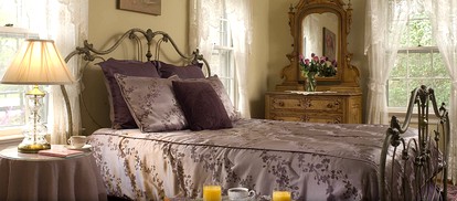 Delightful Williamsburg Bed and Breakfast near Busch Gardens, Virginia - Williamsburg, Virginia - glamping.directory