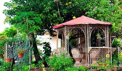 Romantic Suite Rentals Overlooking Garden and Orchard on Island of Maui - glamping.directory