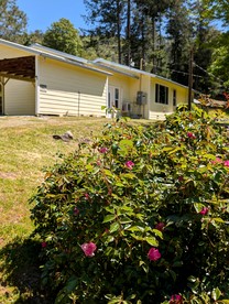 Spacious and Pet-Friendly Sunny Yellow Cabin for a Wonderful Escape by the Trinity River in California - Big Flat, California - glamping.directory
