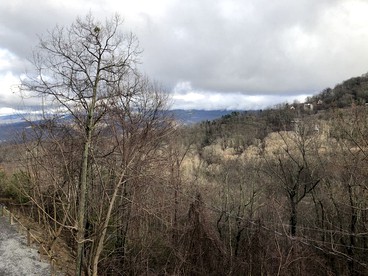 Secluded Log Cabin with Incredible Smoky Mountain Views near Gatlinburg, Tennessee - Gatlinburg, Tennessee - glamping.directory