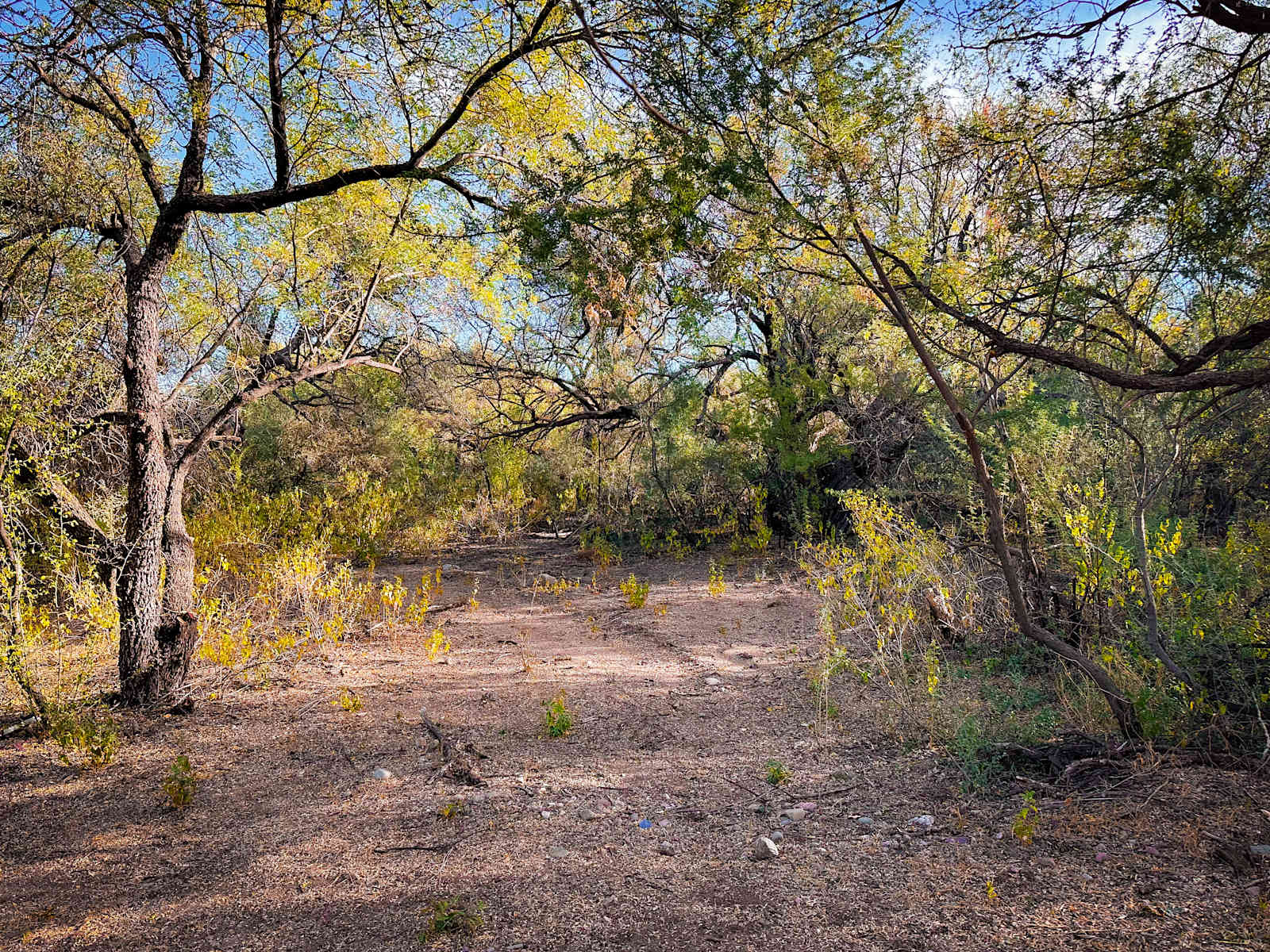 The Grove - Tubac, Arizona - glamping.directory