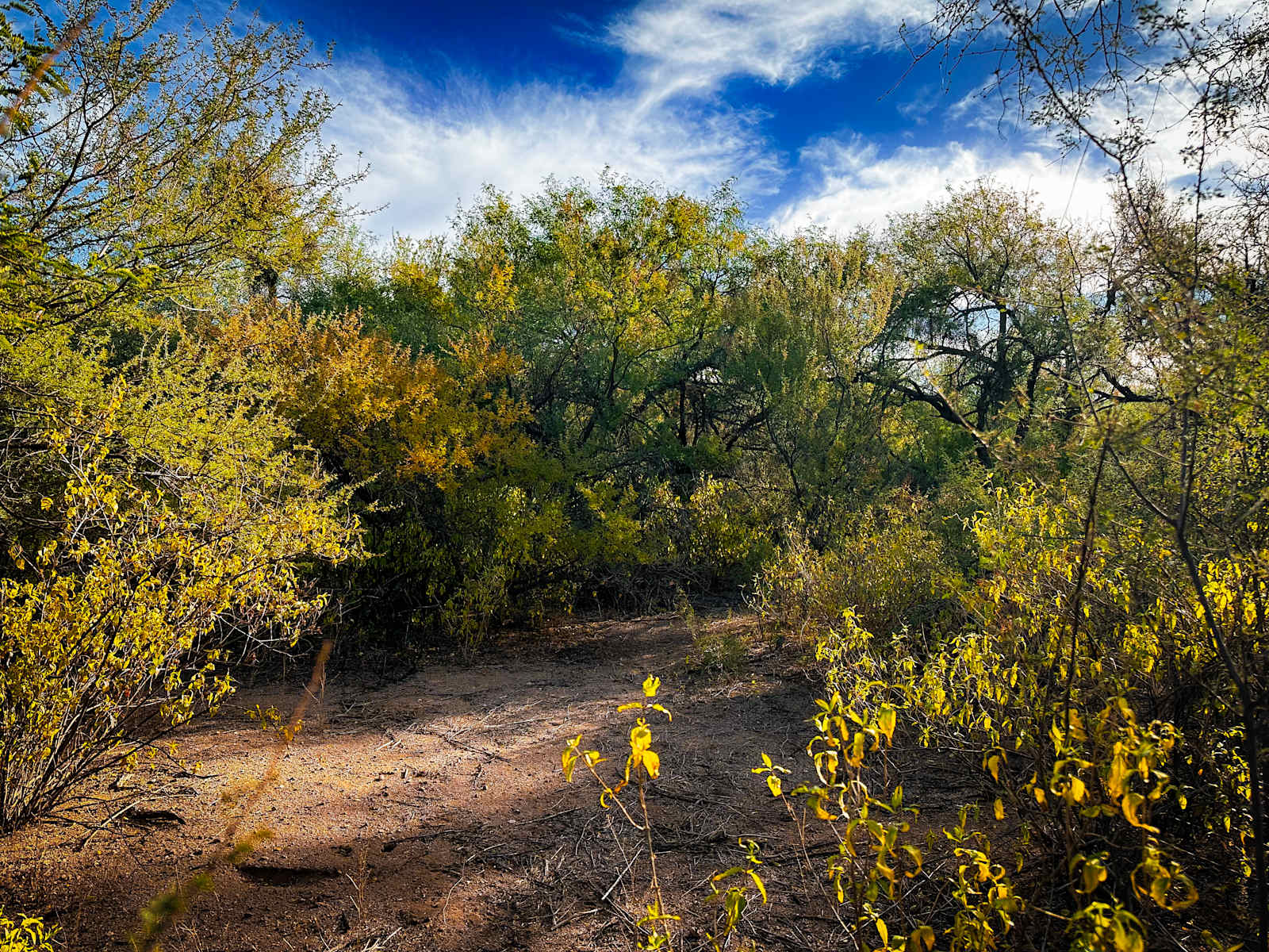 The Grove - Tubac, Arizona - glamping.directory