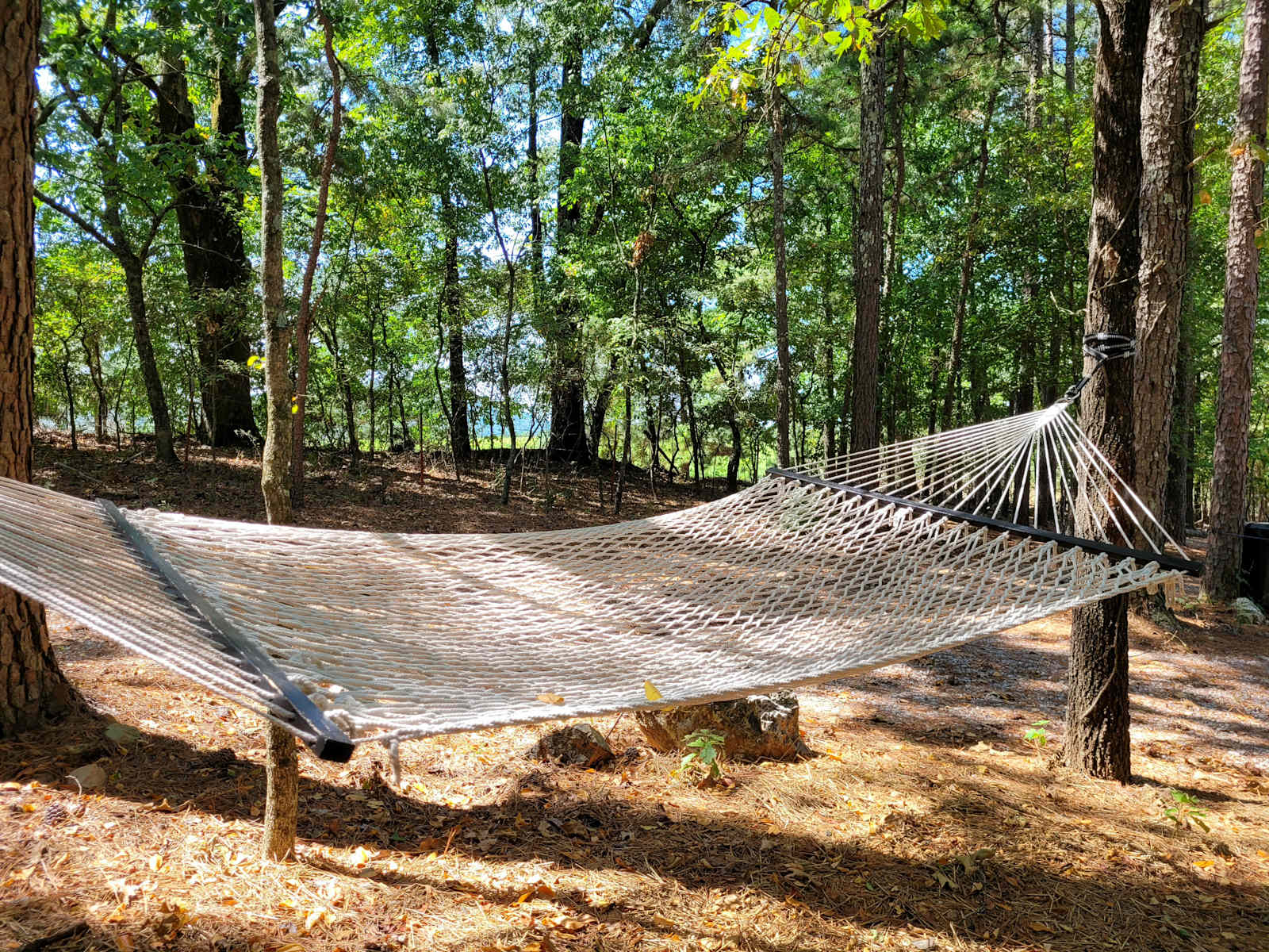 Fern Dell: Secluded Woodland Glamp - Hot Springs, Arkansas - glamping.directory