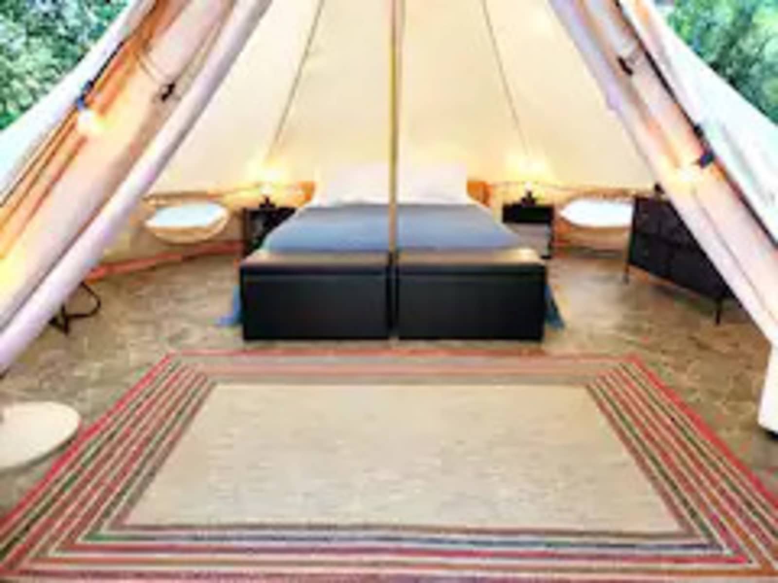 Fern Dell: Secluded Woodland Glamp - Hot Springs, Arkansas - glamping.directory