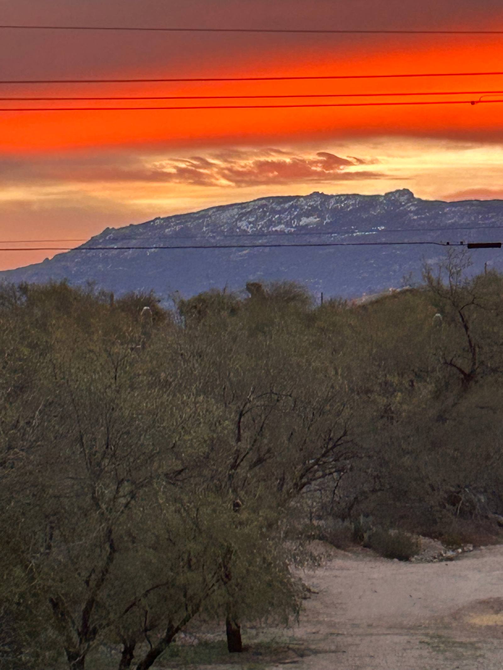 JJ's Big Town Get Away - Tucson, Arizona - glamping.directory